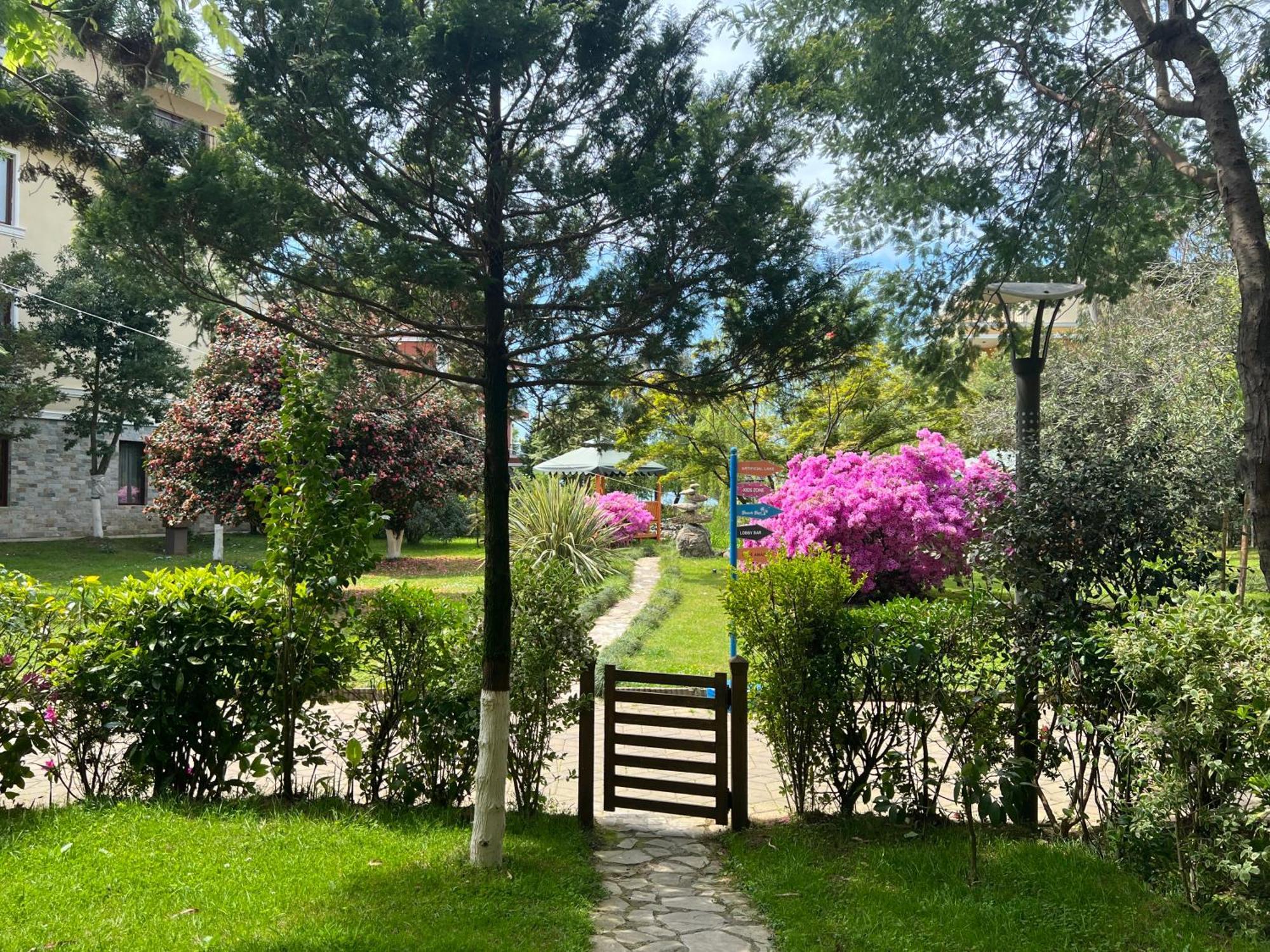 Luxury Oasis Apartment Chakvi Cameră foto